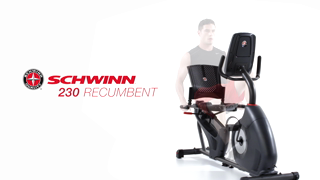 schwinn 230 recumbent bike walmart