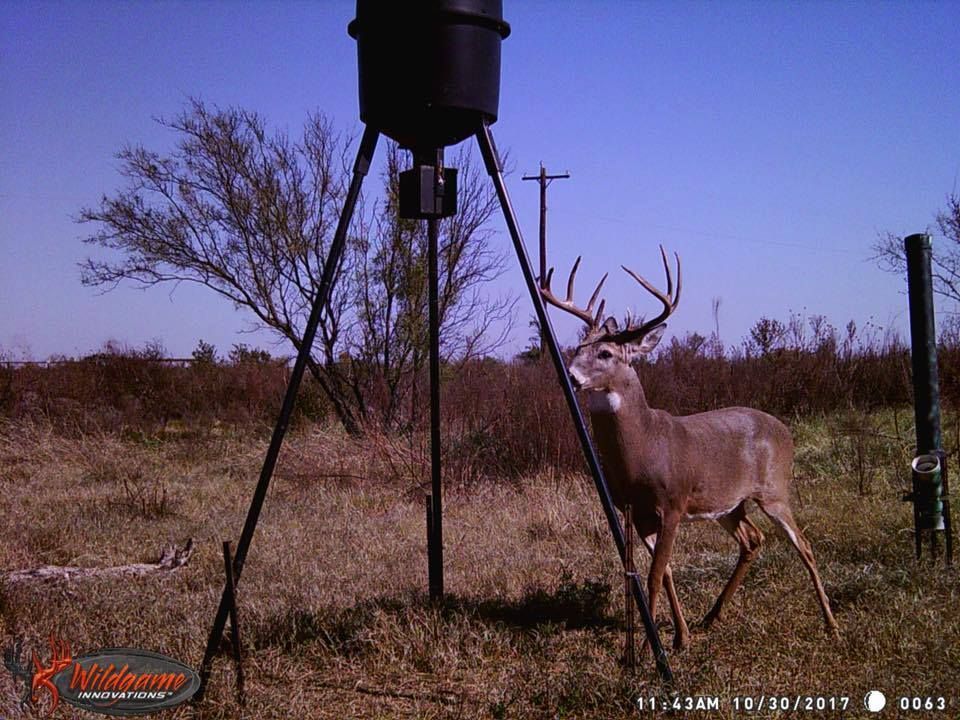 Heavy Duty 30 Gallon Deer Hunting Feeder Steel Outdoor Quick Set Game