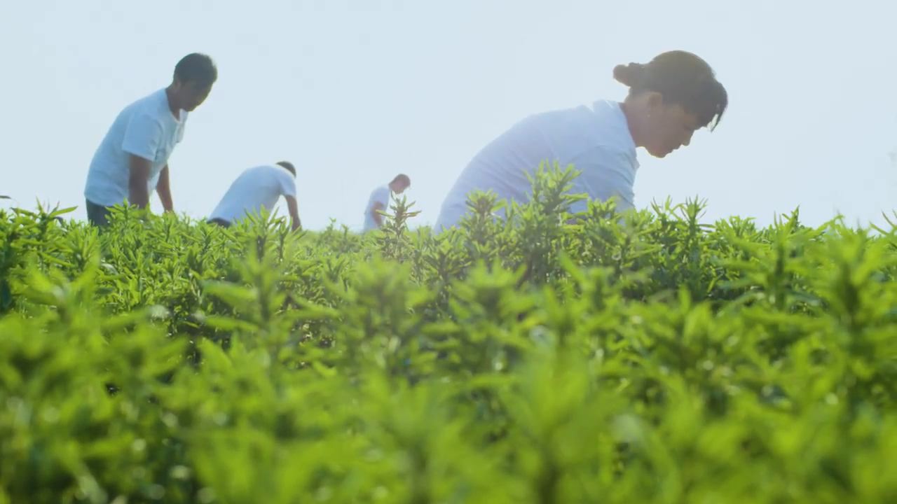 thumbnail video image 2 of Pyure Organic Harmless Hunny, Sugar-Free, Naturally Flavored Honey Alternative Sweetener, Keto, 13.05 oz, 2 of 7