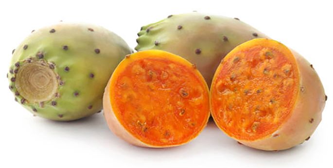 sumbody stem cell moisturizer