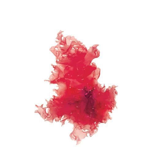 Astaxanthan Red Algae