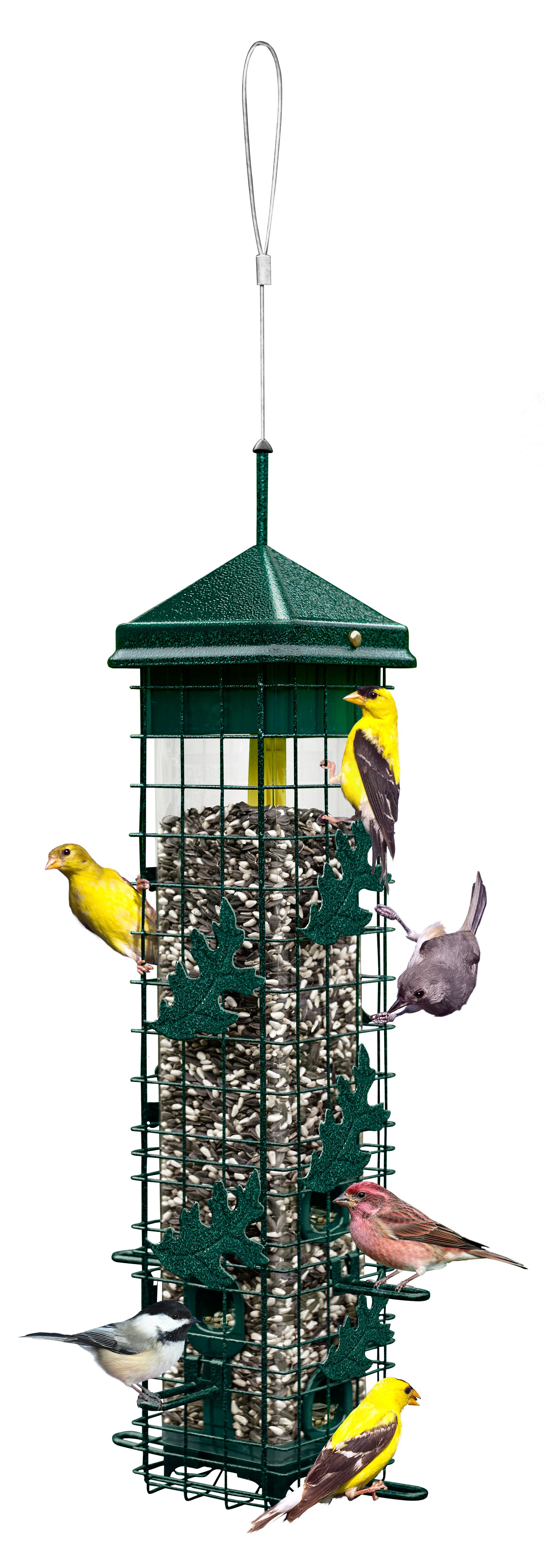 Squirrel Buster Plus Green Tube Bird Feeder At Lowes Com