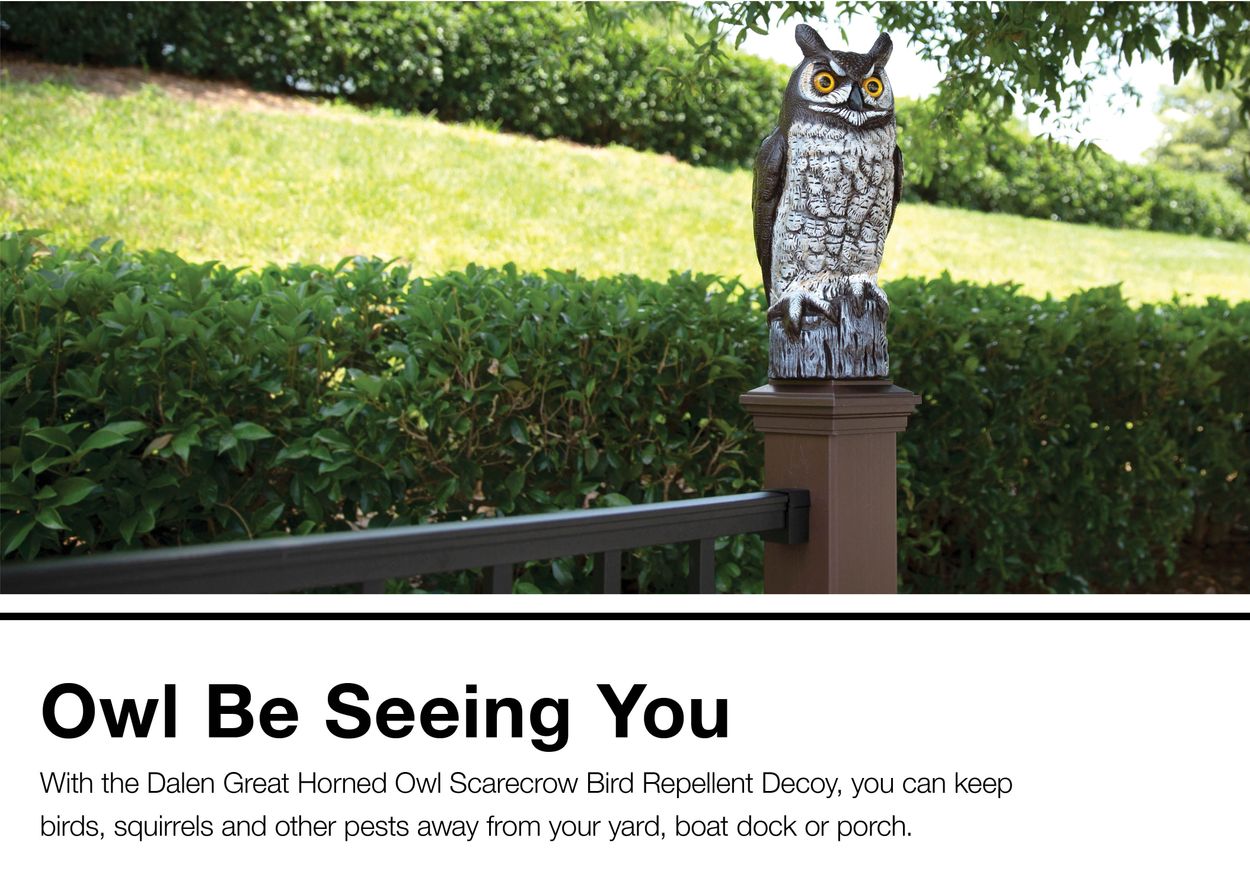 Dalen Great Horned Owl Scarecrow Bird Repellent Decoy At Lowes Com