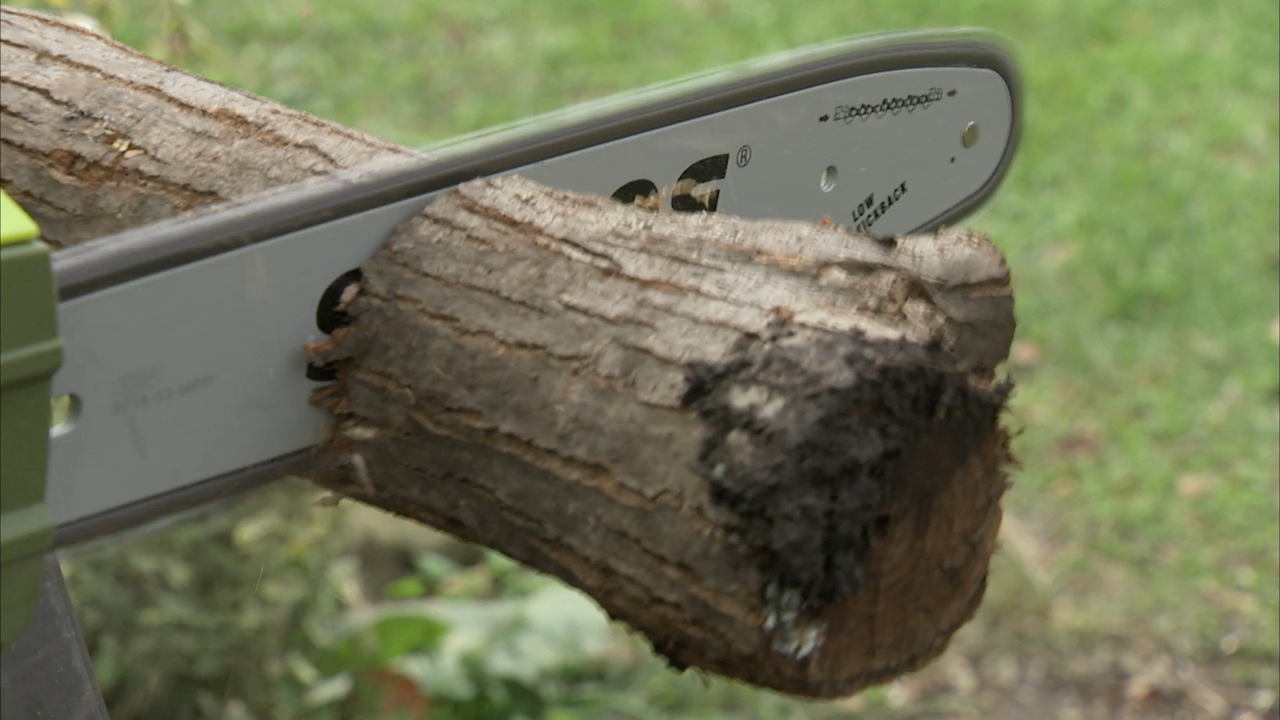 Soyo  Sun Joe SWJ599E Tree Limb Master Electric Handheld Chainsaw