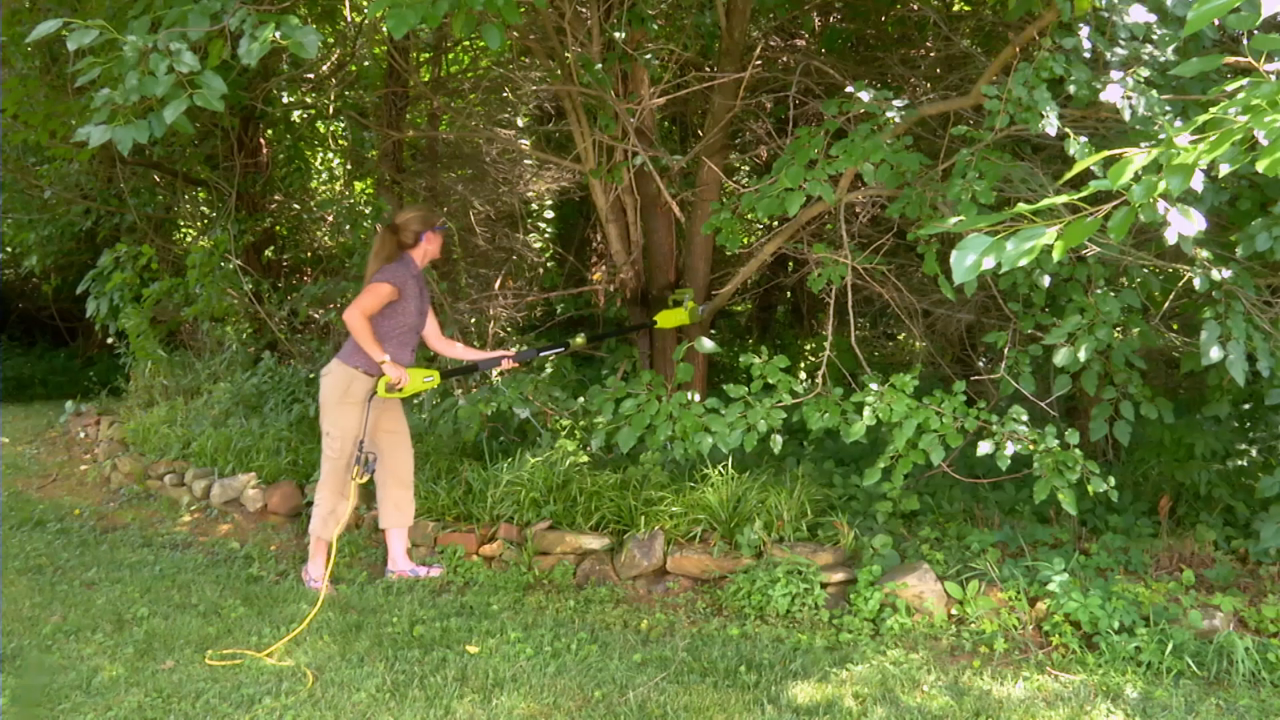 Sun Joe 2-in-1 Electric 8-inch Convertible Pole Saw, 8-Amp