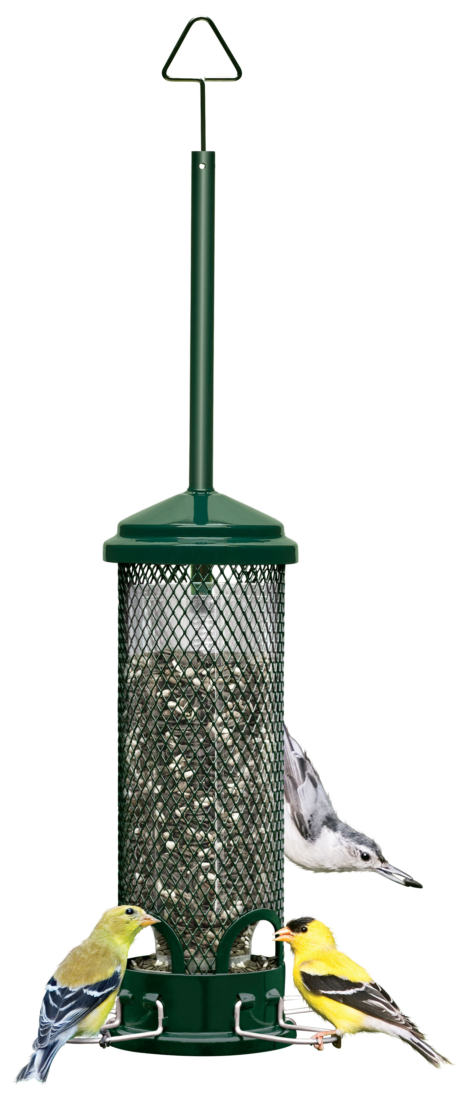 Squirrel Buster Green Tube Bird Feeder At Lowes Com