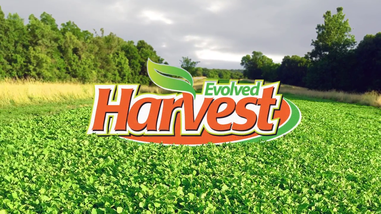 thumbnail video image 2 of Evolved Harvest Card 7 Stud Full Season Forage Food Plot Seed, 10 lb. Bag, 2 of 9