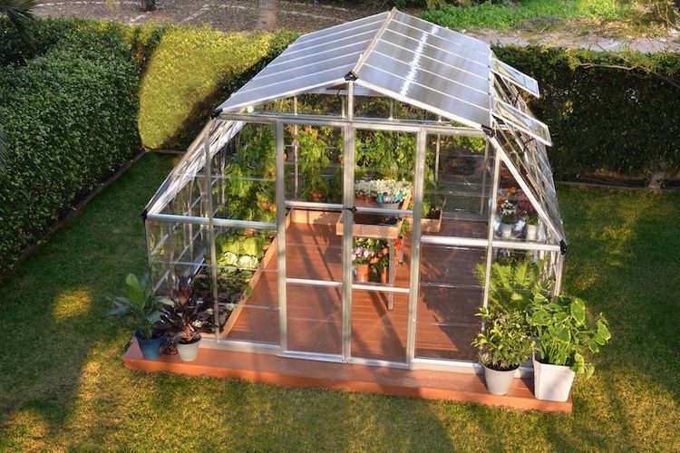 AMERICANA 12' X 12' GREENHOUSE WITH PREMIUM ACCESSORY PACKAGE 4 SHELF ...