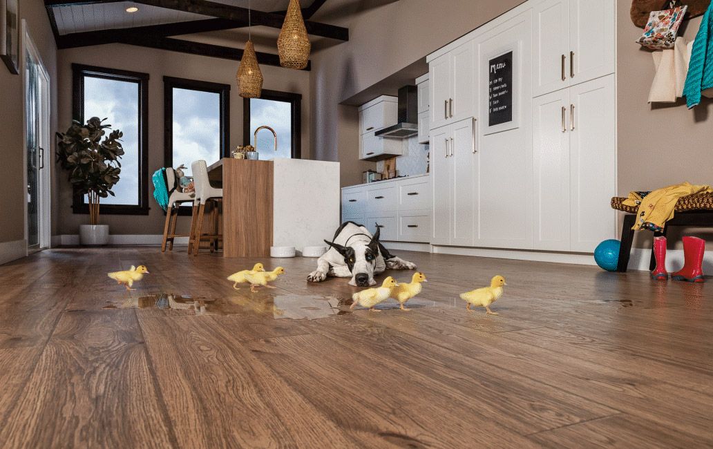 Pergo Timbercraft Wetprotect Waterproof Cliffside Oak 7 48 In W X Meet Our Pergo Timbercraft Collection The Most Authentic Wood Looks With Waterproof Protection They Re Perfect Floor For Busy Families Kids