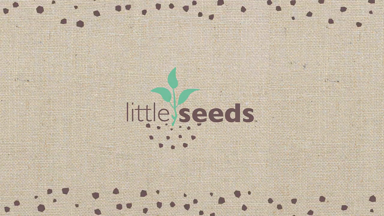 thumbnail video image 2 of Little Seeds Rowan Valley Forest Loft Bed, Grey/Taupe - Twin, 2 of 16