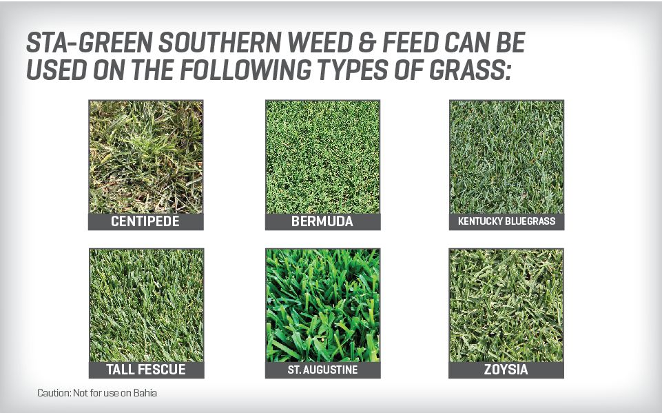Rose Glen North Dakota Try These Weed And Feed For Bermuda Rose Glen North Dakota Try These Weed And Feed For Bermuda