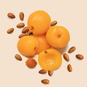 Apricot Kernel, Sweet Almond, and Jojoba Seed Oil