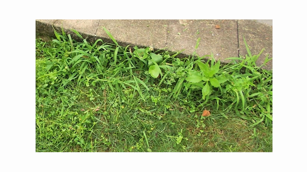 thumbnail video image 2 of Sun Joe GTS4000E Electric Lawn Care System, Pole Hedge Trimmer, Grass Trimmer, Garden Tiller, 2 of 9