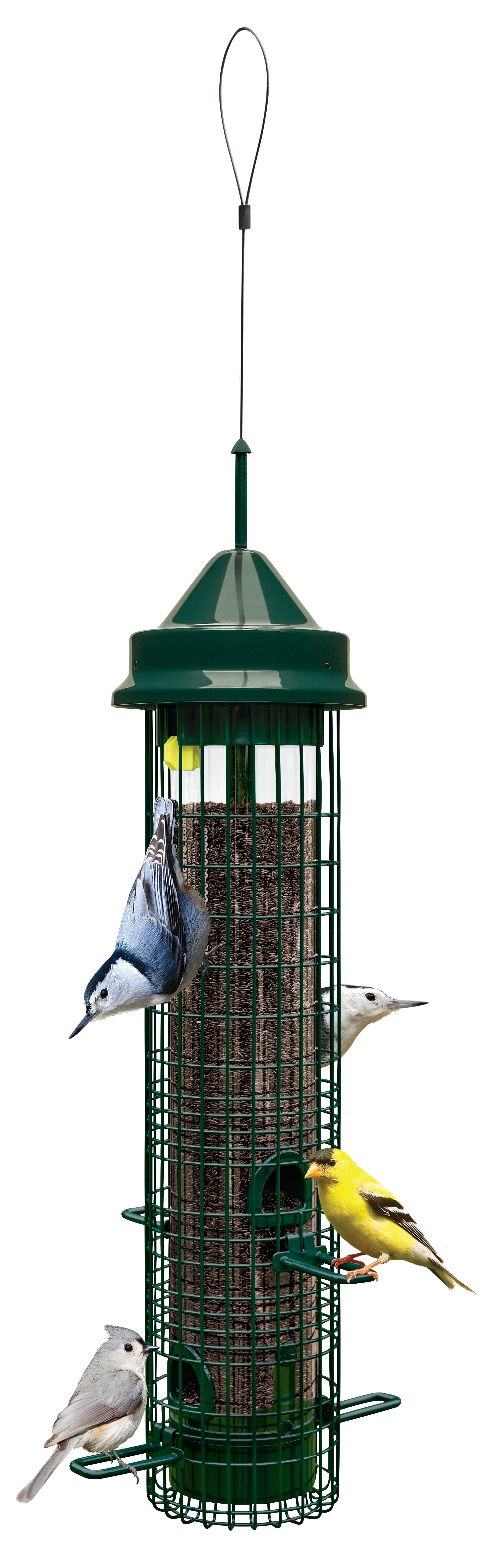 Squirrel Buster Plus Green Tube Bird Feeder At Lowes Com