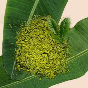 Boscia Green Tea Oil Free Moisturizer 1 7 Fl Oz