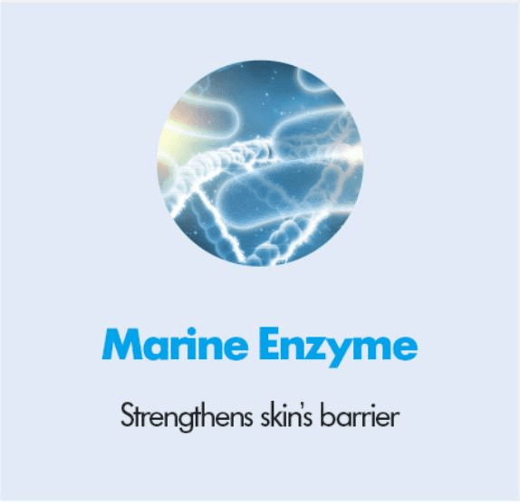 Marine Enzyme. Strengthens skins barrier